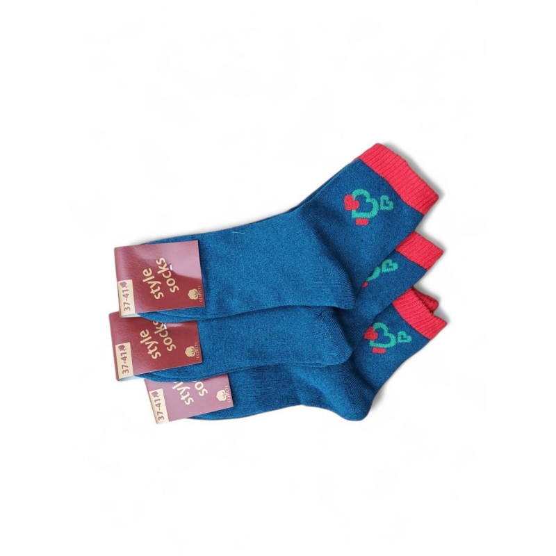 Зимові жіночі шкарпетки махрові (10 пар) ТМ “STYLE SOCKS“, розмір 37-41